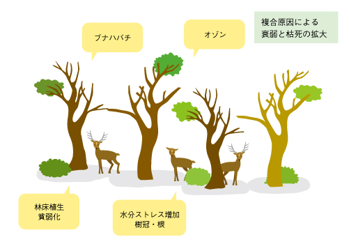 2000年代
