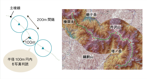 高木本数と草地の面積の計測方法