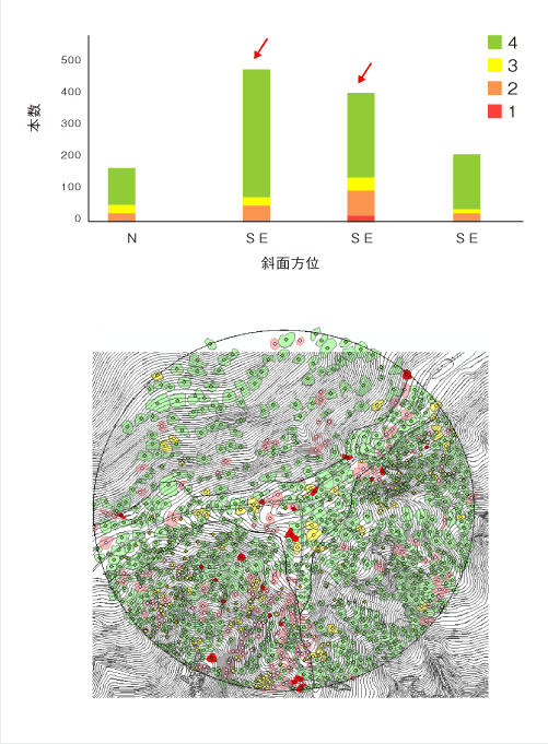 大室山山頂 衰退と地形の関係