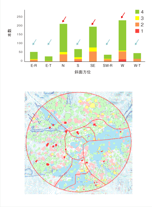 檜洞丸山頂 衰退と地形の関係