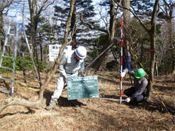 植生保護柵の設置状況(丹沢三峰付近)