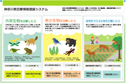 目撃情報登録システム(外来生物・希少生物・鳥獣被害)