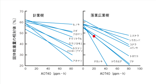 16̊AOT40Ƃ̊֌W