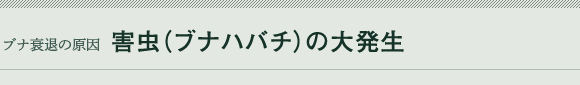 uiނ̌ Q̑唭