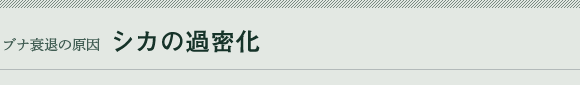 uiނ̌ VJ̉ߖ