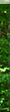 _ސ쌧̃ui