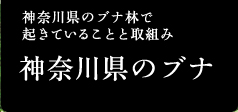 _ސ쌧̃ui