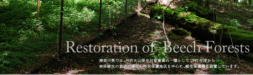 _ސ쌧̃ui