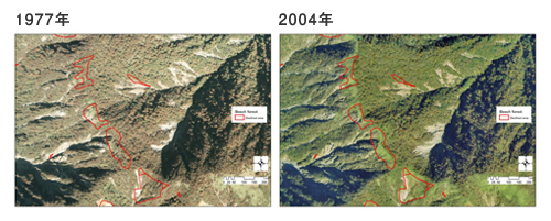 草地化地点の抽出(空中写真判読による)果