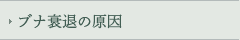 uiނ̌