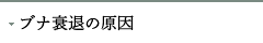 uiނ̌