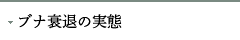uiނ̎