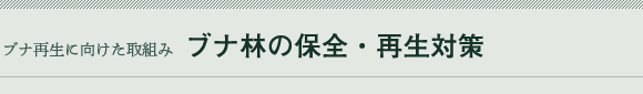 uiт̕ۑSEĐ΍