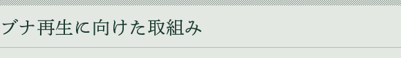 uiĐɌg