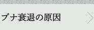 uiނ̌