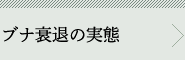 uiނ̎