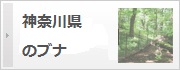 _ސ쌧̃ui