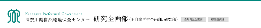 _ސ쌧RۑSZ^[敔ij