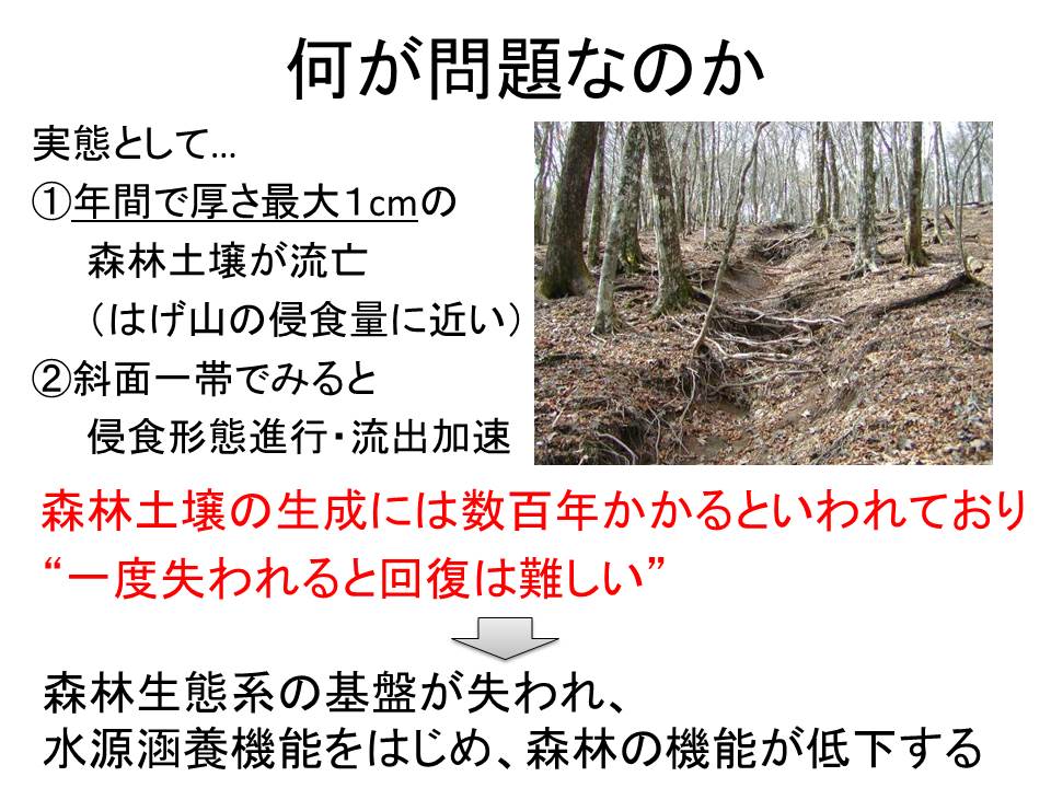 何が問題か