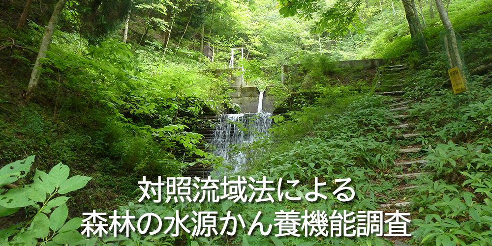 対照流域法によるモニタリング調査の観測施設