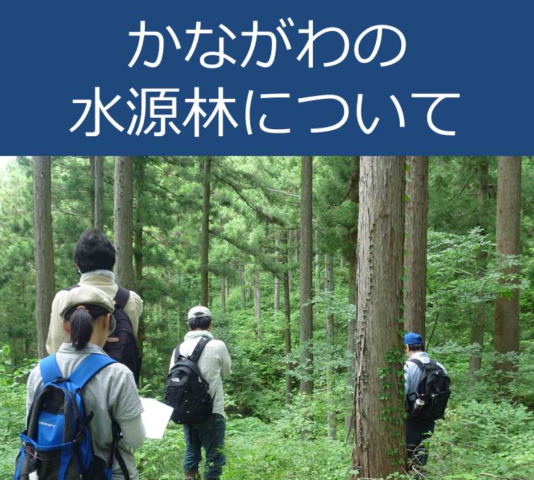 タイトルかながわの水源林について