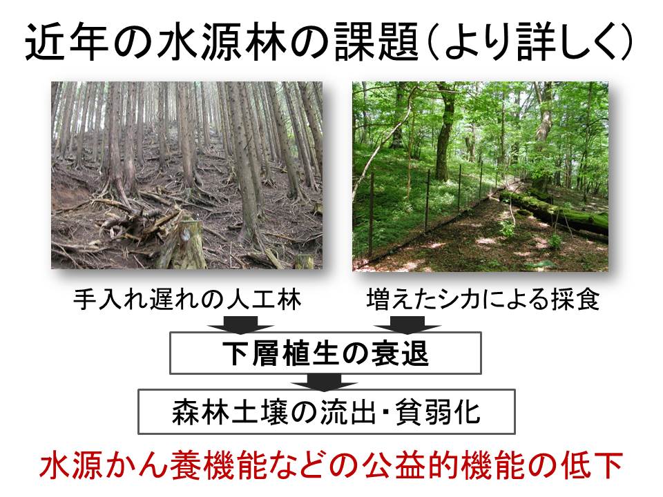 神奈川県の近年の水源林の課題