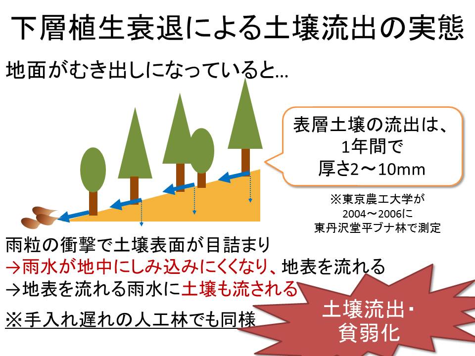 下層植生衰退による土壌流出の実態説明イラスト