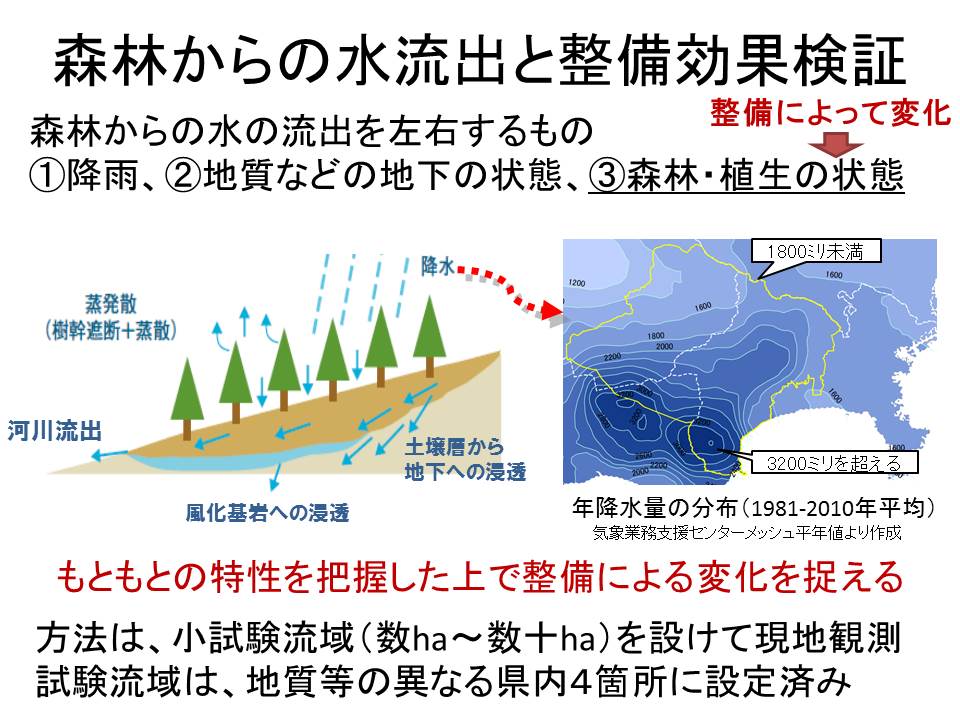 森林の水循環