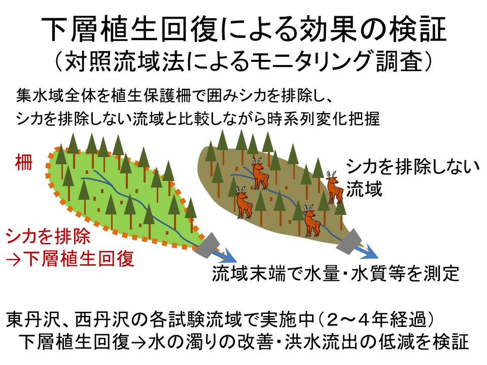 丹沢山地の対照流域法のイメージ