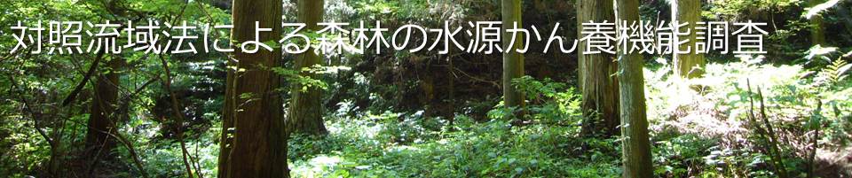 対照流域法による水源かん養機能調査の調査地写真