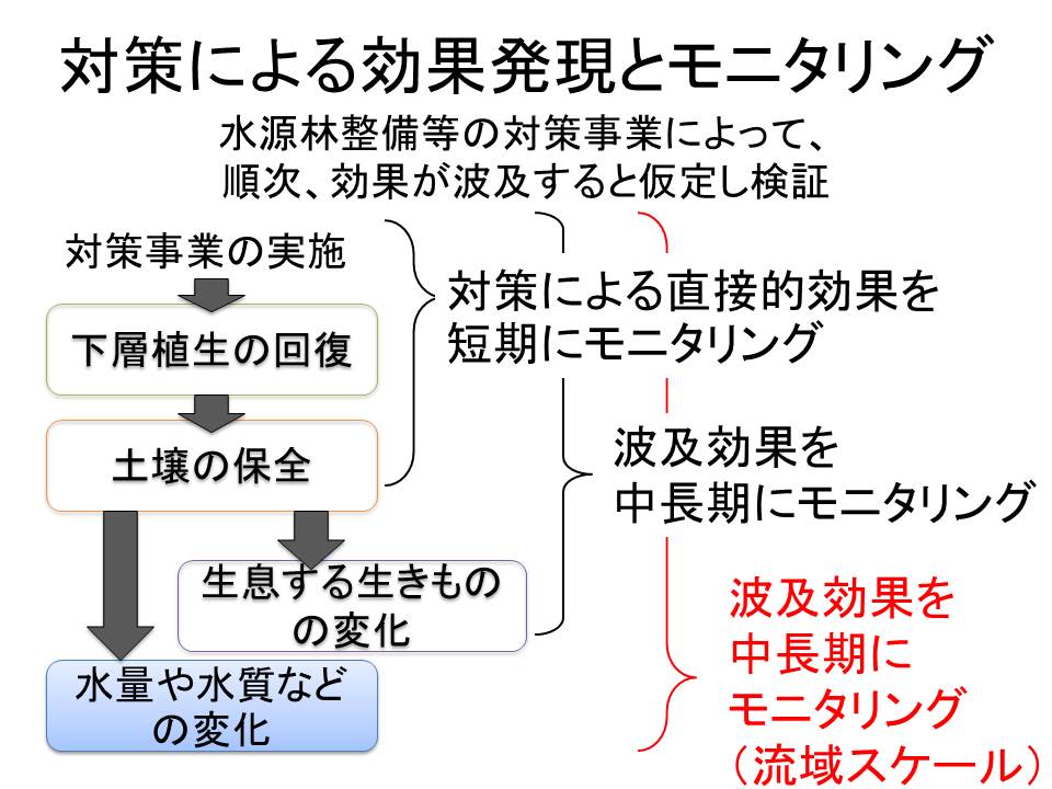 効果発現の仮説