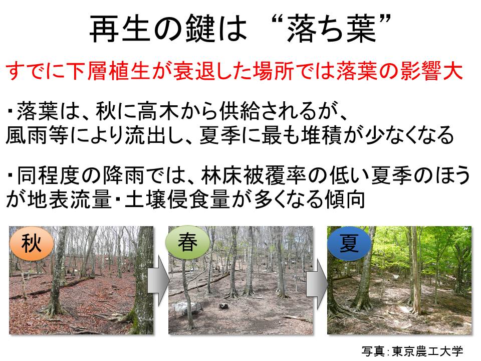再生のカギ