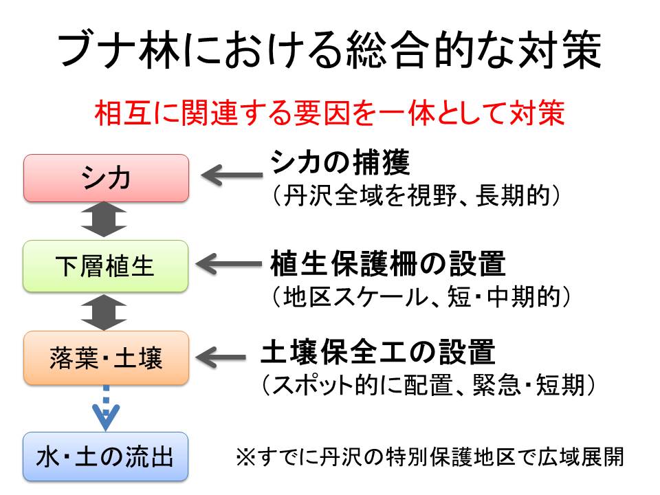 堂平の総合対策