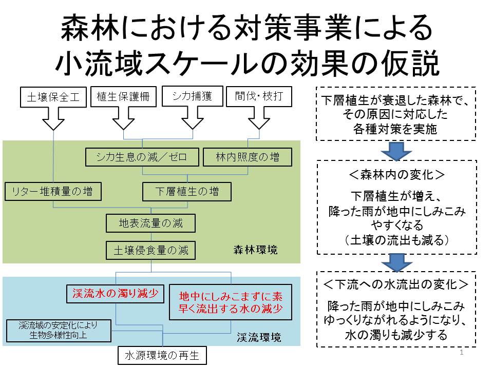 対策の効果の仮説